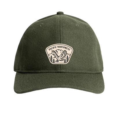 Talon Snapback Green