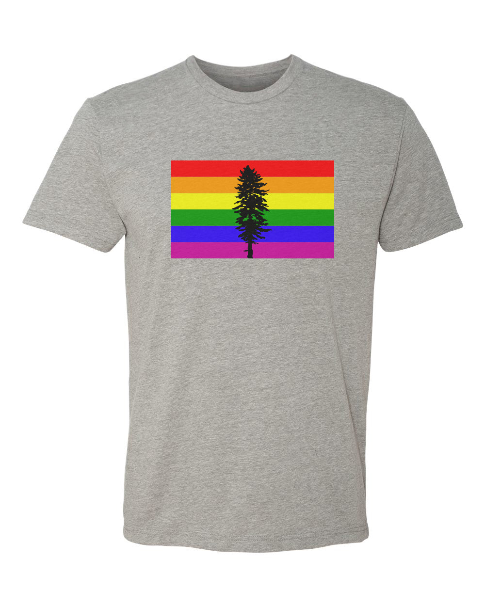 Rainbow Cascadia Flag T-Shirt Grey