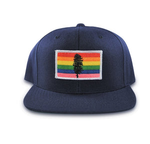 Cascadia Pride Snapback