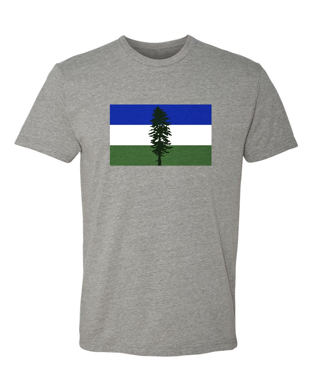 Cascadia Flag T-Shirt Grey