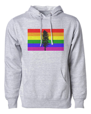 Rainbow Cascadia Hoodie Grey